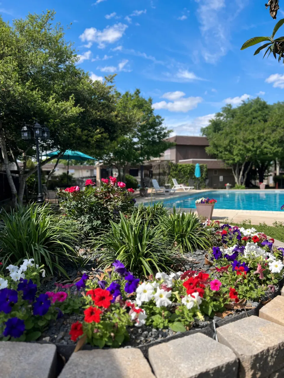 Flower bed beside the pool at Wilshire Woods Apartments